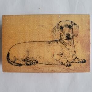 Vintage 2000 Rubber Stamp Dachshund Wiener Dog Realistic Mounted